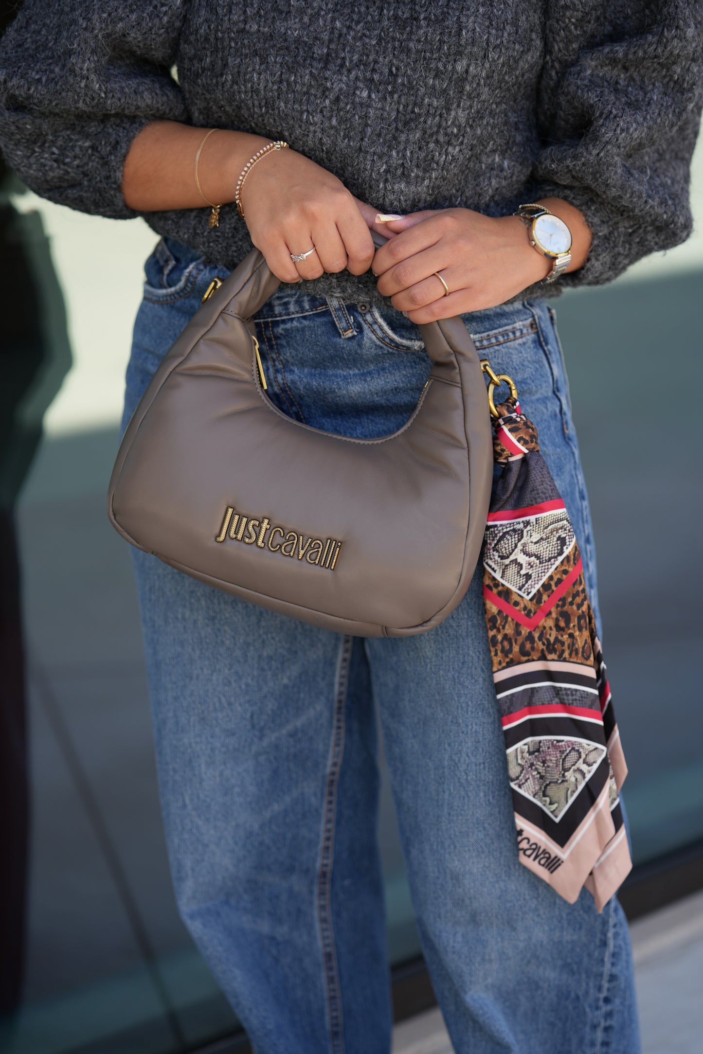 Mala Taupe Just Cavalli FW25