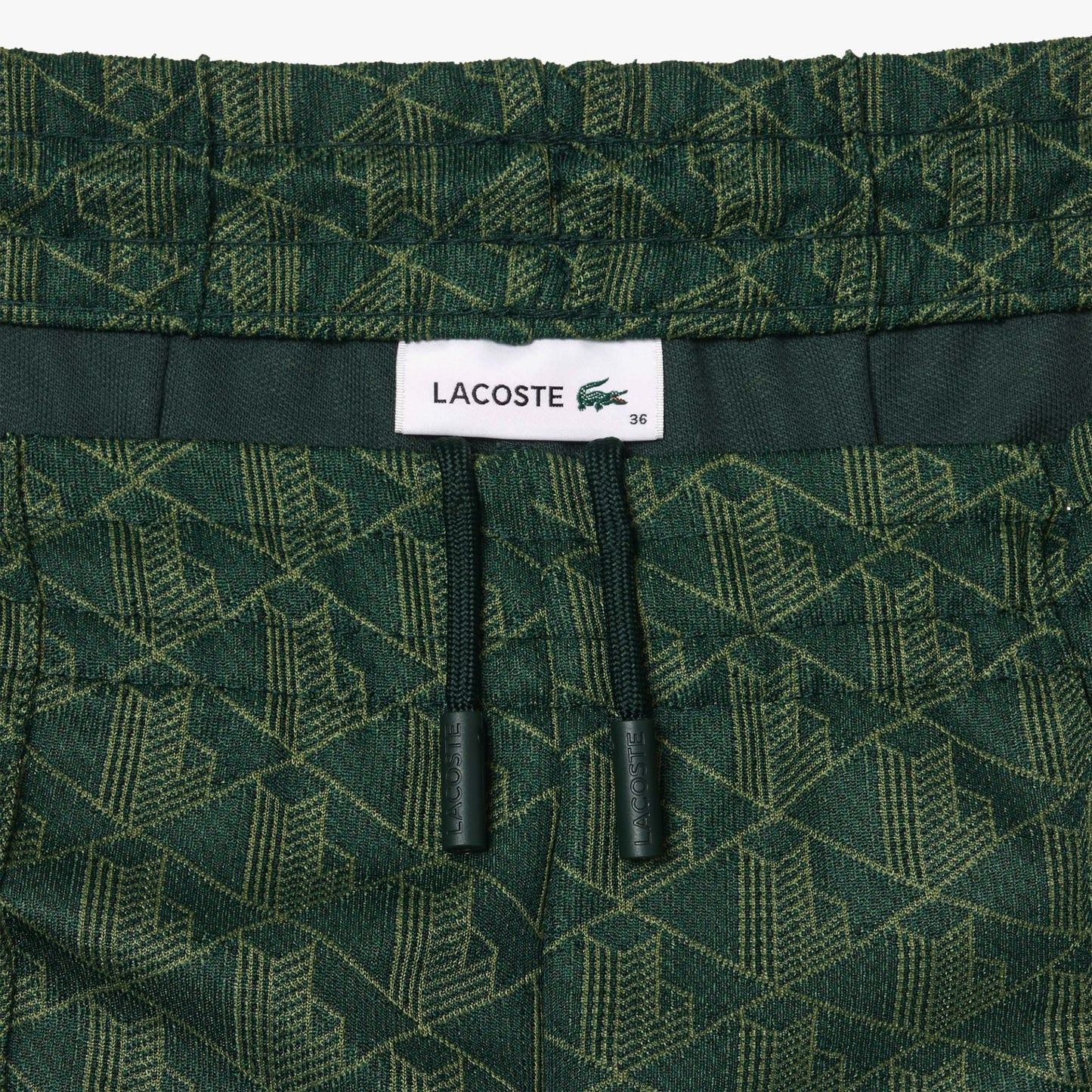 Calças Lacoste Verdes XF9313 FW24