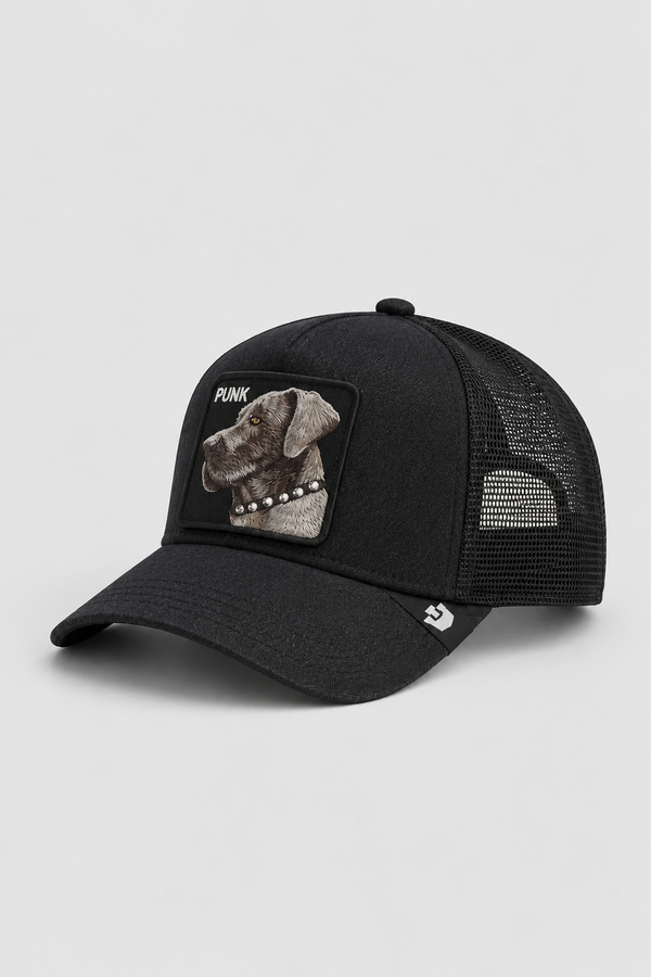 Chapéu Goorin Bros Preto - Punk