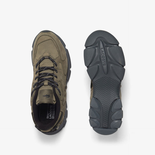 Sapatilha Khaki Lacoste FW25